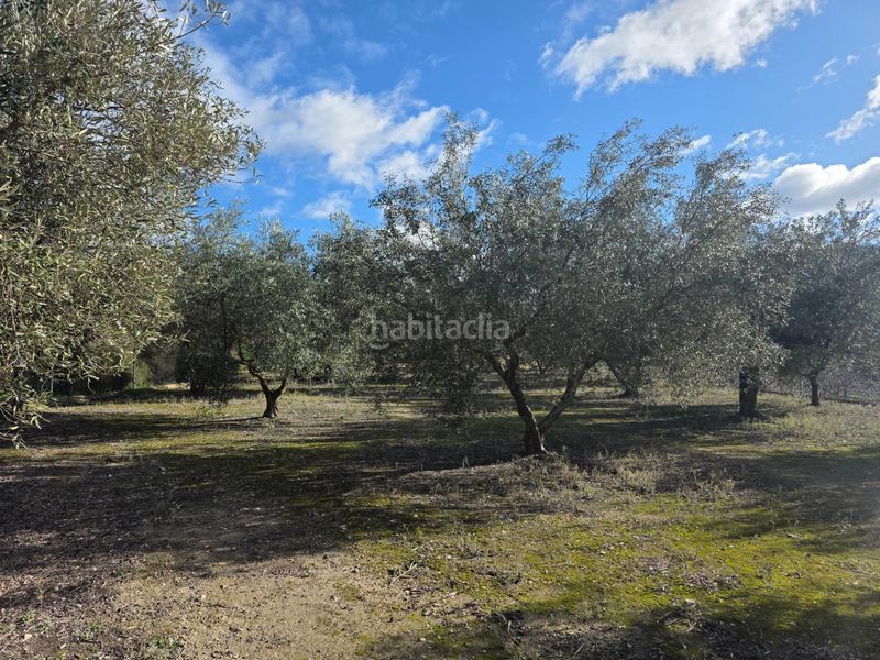 Foto f4a74493-9be4-477f-a84f-98c5d4506a17. Casa en Gorga