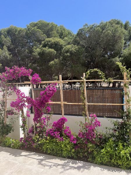Foto 50e0b530-d753-4c27-a544-6a34b9dd2a50. Apartamento en San Javier San Javier