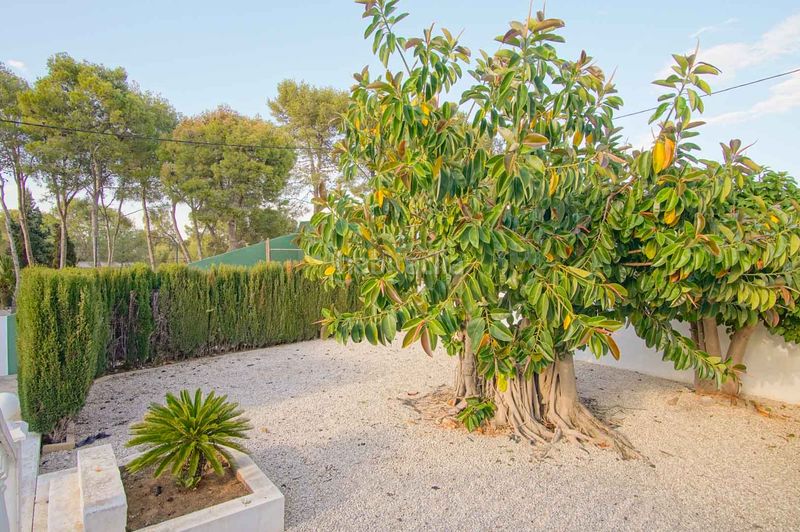Foto a8990d13-691d-4b6f-9982-4dcf7880b10a. Casa amb aparcament a La Pedrera-Vessanes Dénia