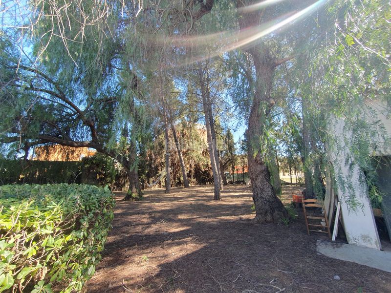 Foto b6a569fa-aa78-42fe-b74d-1643b3dbdd6b. Casa a Canals