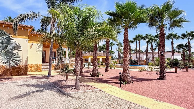 Foto fe02e237-06d2-495a-83e3-86f9b76b3d7b. Casa a Catral