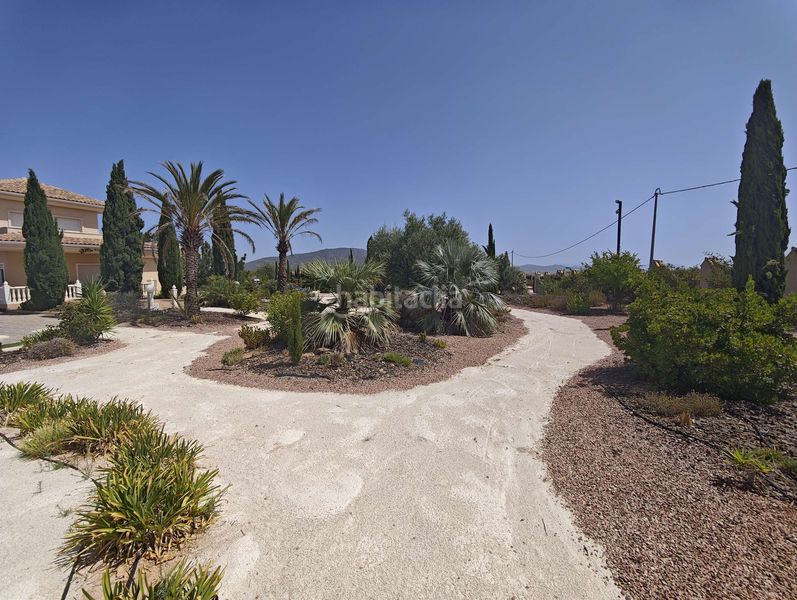 Foto 63171452-72b0-4ee3-9b5b-4d23f13b2e36. Casa amb aparcament a Pinoso