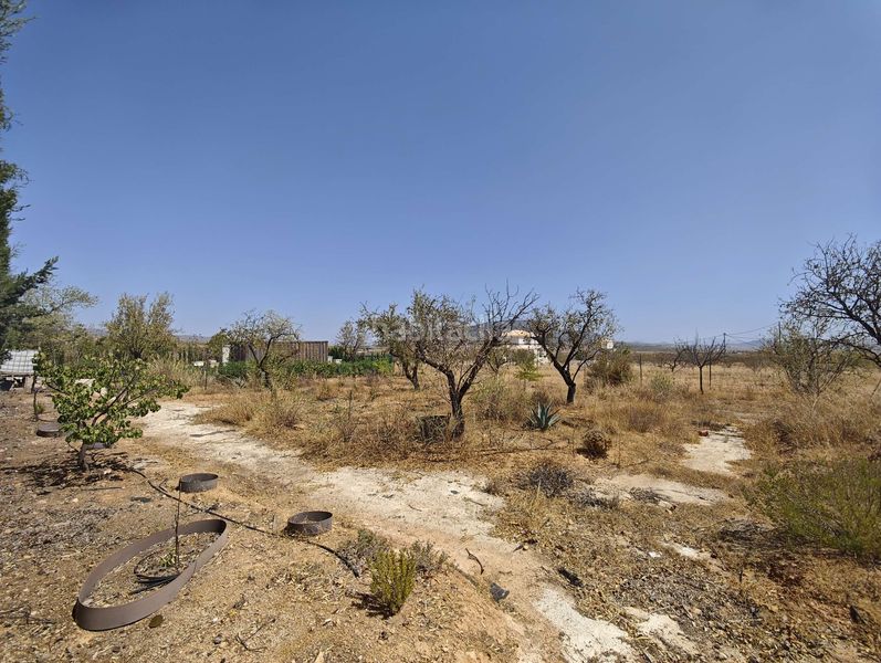Foto c68254db-4e94-4a0b-83c2-4b2a1c74b6c9. Casa amb aparcament a Pinoso