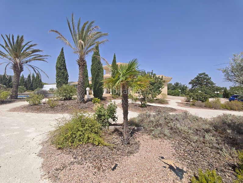 Foto f1ef9ee0-8334-4343-a57e-074ee1b6bb1f. Casa amb aparcament a Pinoso