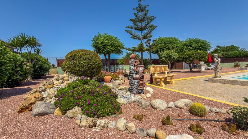 Foto ed65dd21-7edd-4089-9070-b50e74e77e54. Casa amb aparcament a Catral