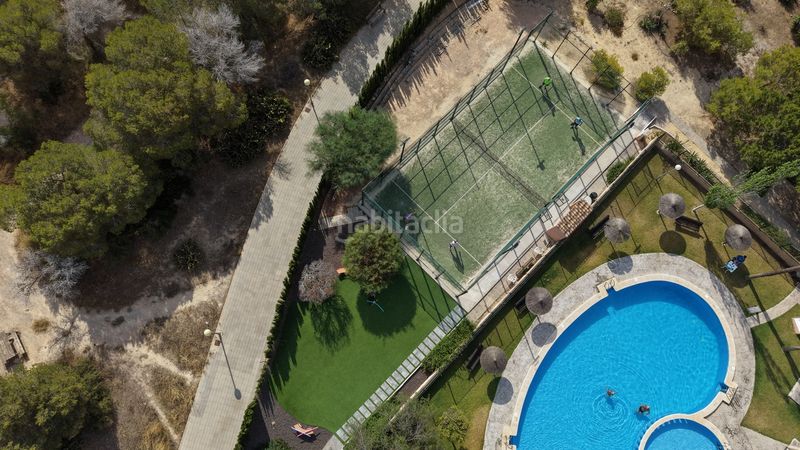 Foto 398adc66-3a10-4a1c-a415-9a46ba6f841c. Casa amb aparcament a Playa Flamenca Orihuela