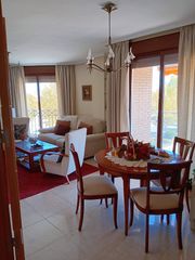 Apartamento en Pilar de la Horadada Ciudad