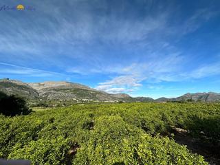 Terreno residenziale in Orba
