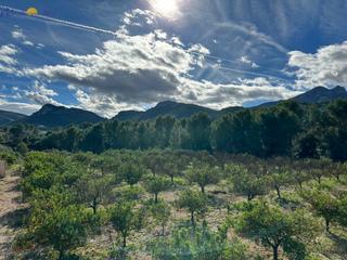 Residential Plot in Orba
