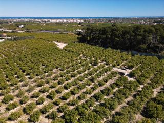 Terreny residencial a Ondara