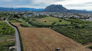 Terreny residencial a Poblets (els)