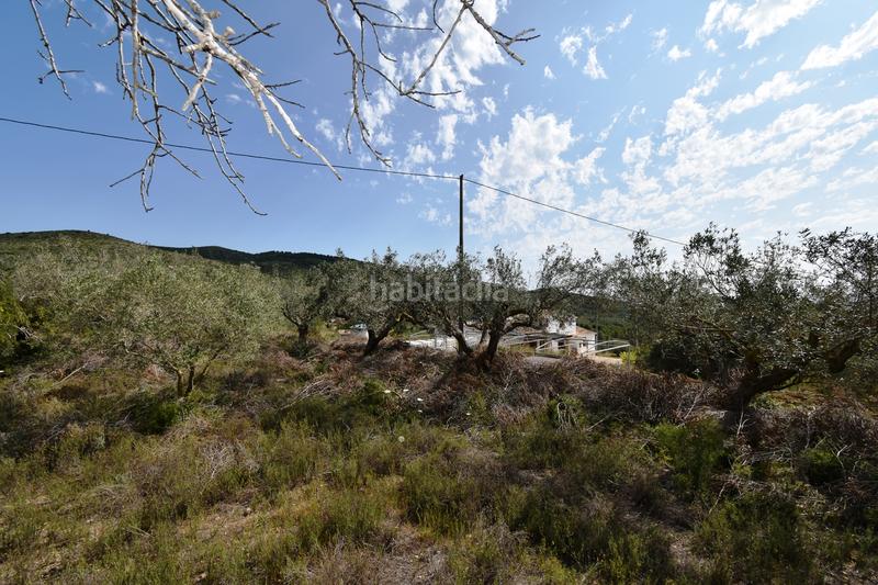 Foto 1703e188-7f32-42a2-9c07-ecc06045a291. Casale in Teulada