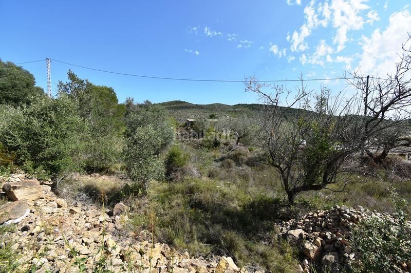 Foto cef56152-a7eb-47ae-8367-7abb1325f767. Casale in Teulada