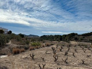Residential Plot in Teulada