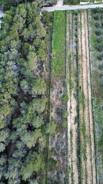 Foto d142a193-2198-4edb-a43d-3f039714a450. Terreno residenziale in Montgó - Ermita Xàbia