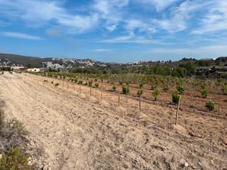 Terreny residencial a Teulada