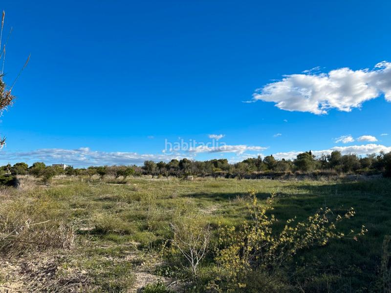 Foto dd803336-85a3-4c2b-a9d6-e5f19f3d375f. Terrain résidentiel dans La Xara-La Sella Dénia