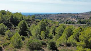 Terreny residencial a Teulada
