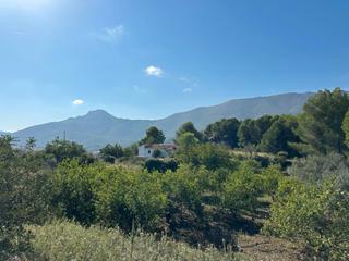 Terreno residencial en Parcent
