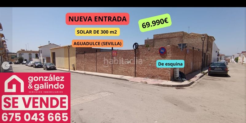 Foto 0d7fb163-59ab-4960-be70-b612226a180e. Pis a Aguadulce