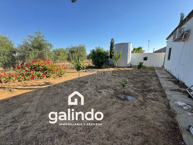 Foto 0b916b4e-7d33-495b-86f6-7524e7e01079. Xalet amb piscina a Marchena
