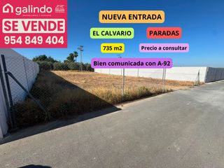 Finca rústica a Paradas. Parcela calvario birrete