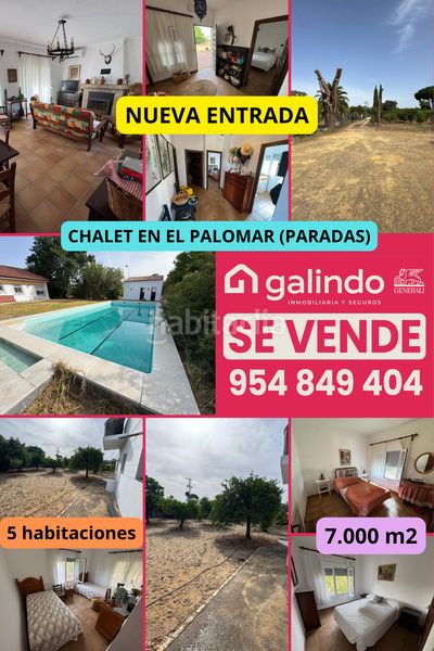 Foto 4a68074e-7e8b-4086-8220-417d0fede00b. Chalet  palomar en Paradas