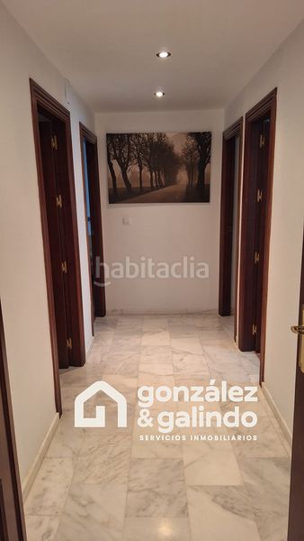 Foto 3437beb3-4fab-4b68-9795-4a3c16c3117c. Pis a Pedrera