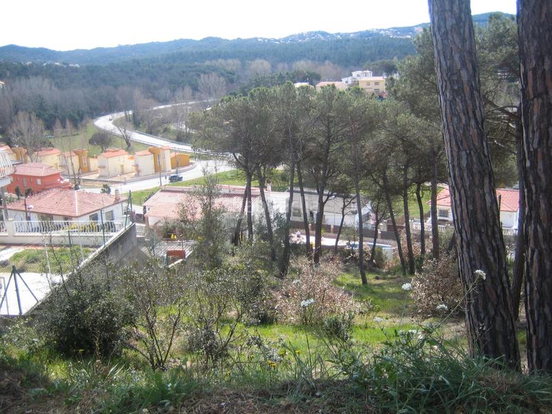 Foto 2a97b959-9c20-438d-a667-3f35753517af. Residential plot in Terrafortuna - Puig Ventós Vidreres