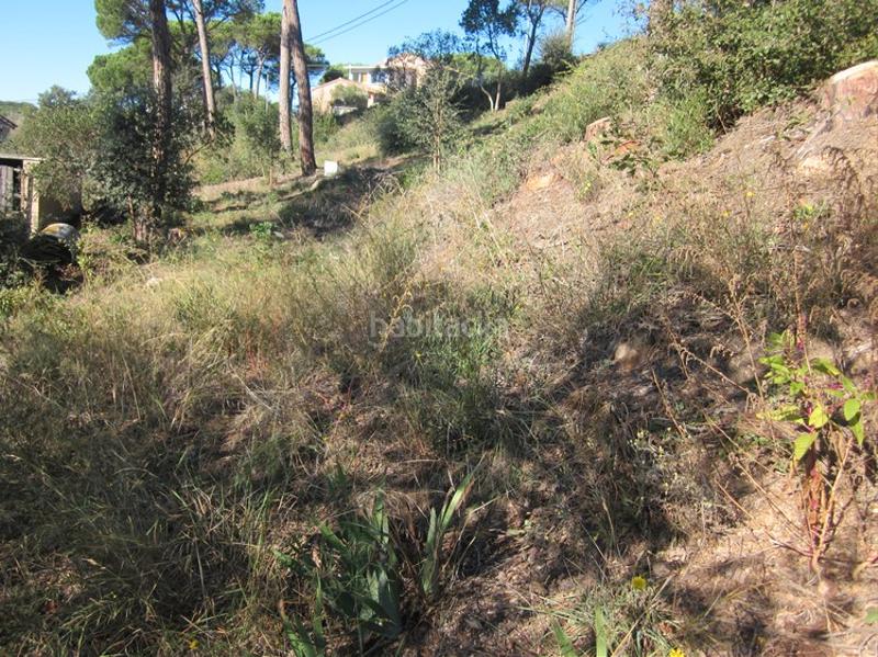 Foto dfbcaa69-b7ff-420a-8f2c-7863c853e616. Residential plot in Terrafortuna - Puig Ventós Vidreres