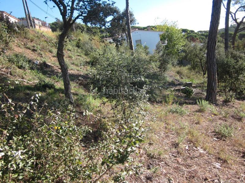 Foto f3f180ae-d71e-4d3d-8ab3-e8efa0e64d2c. Residential plot in Terrafortuna - Puig Ventós Vidreres