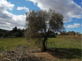 Terrain résidentiel à Masquefa. Terreno plano en venta en masquefa  400m