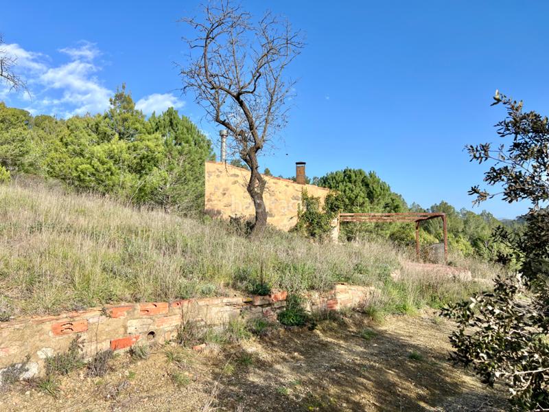 Foto 4b89aaca-bfcd-4978-a419-4c2ce603827a. Finca rústica a Riudecols