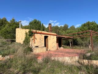Finca rústica a Riudecols. Terreny amb caseta de 30m2 i porxo