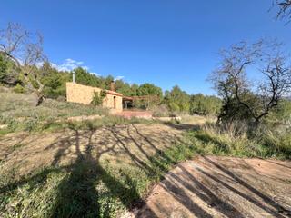 Finca rústica en Riudecols. Terreny amb caseta de 30m2 i porxo