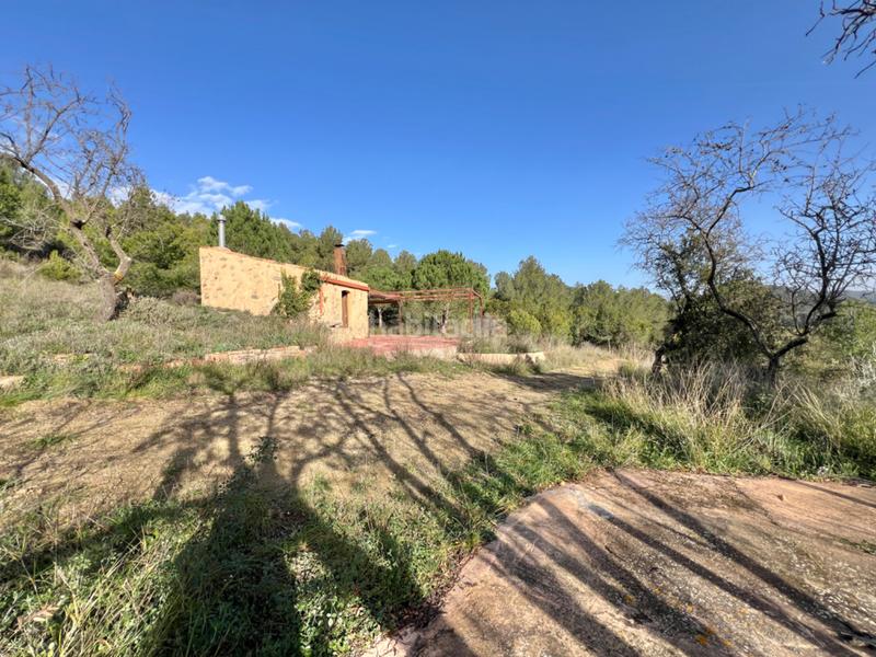 Foto b7592a82-e059-4178-99fb-be7d46d39cab. Finca rústica a Riudecols