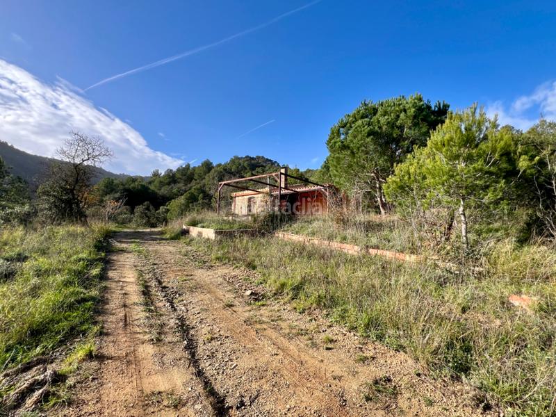 Foto d3e4e821-f242-4ab0-97f4-f4a441f0ccd9. Finca rústica a Riudecols