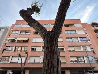 Pis a Carrer de roger de belfort 4. Pis de 4 hab i dos banys zona biblioteca xavier amorós