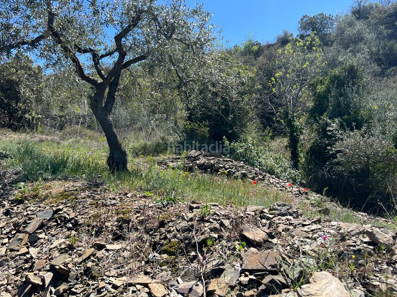 Foto 23fc253e-5e73-4d8f-9fb3-9cb6dbb27c1b. Finca rústica a Gratallops