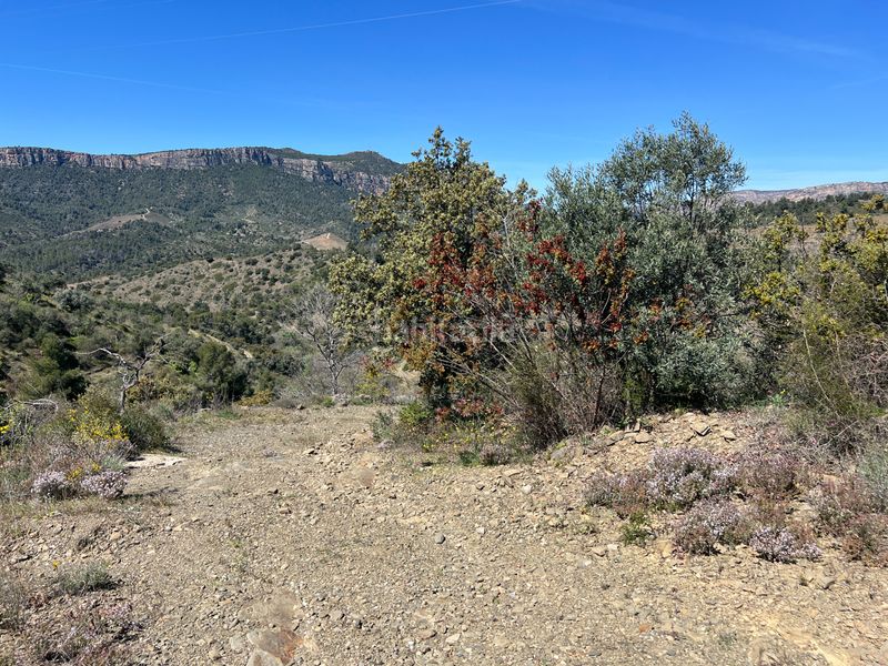 Foto 34610cd1-9a31-47e1-9415-fee22ff3ca1f. Finca rústica a Gratallops