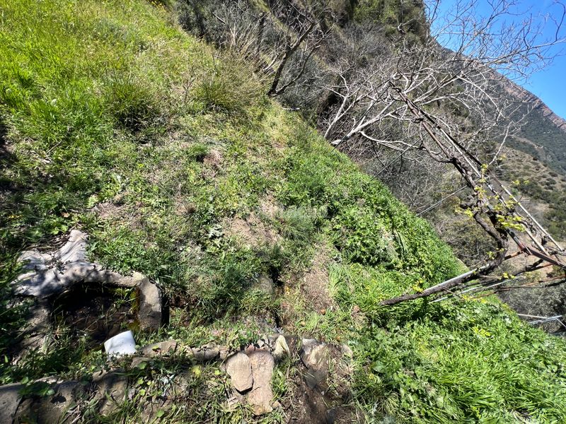 Foto 363c8456-911c-4240-86cf-626ca89e58d5. Finca rústica a Gratallops