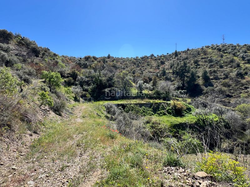 Foto 44965736-837b-494f-b0f0-60c86eb4b5b6. Finca rústica a Gratallops