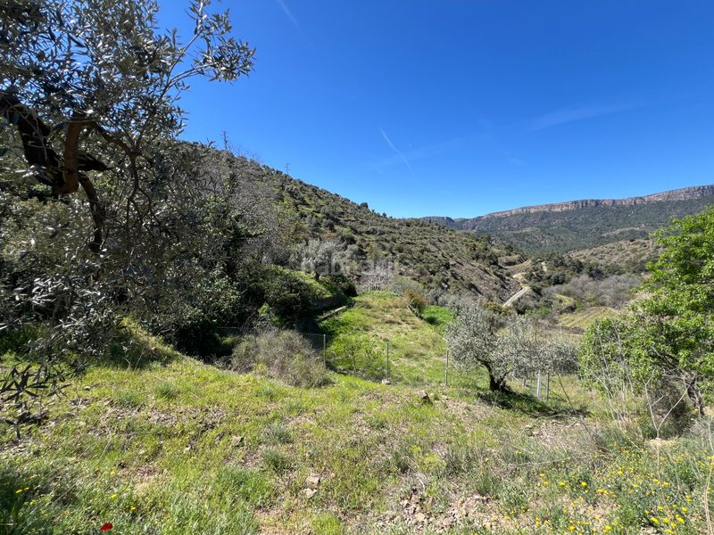 Foto 561ccca7-a975-43e4-b7e0-72b5dcfa153b. Finca rústica a Gratallops
