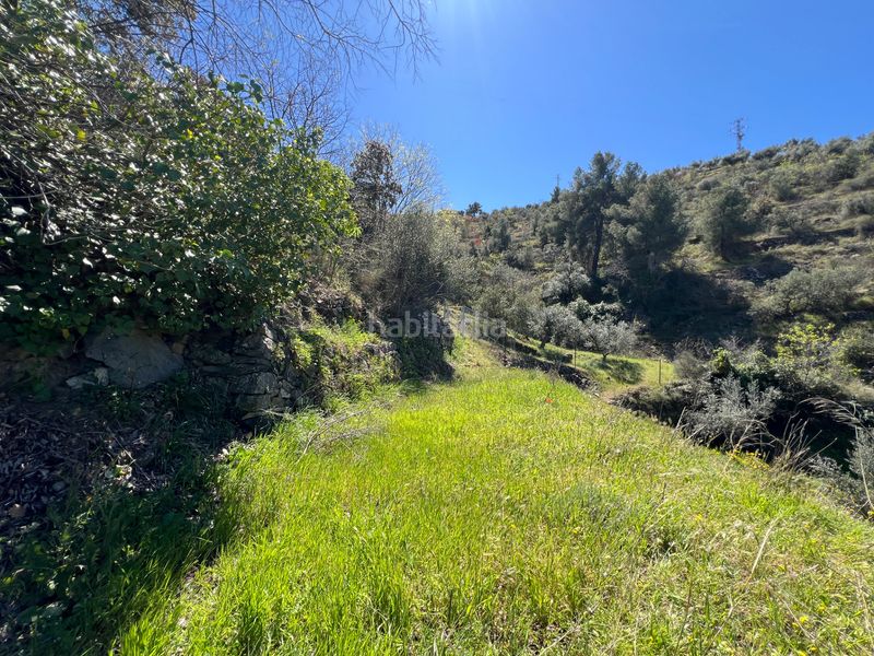 Foto 5fc30be6-1195-486e-bc4d-40fc09ffaf0d. Finca rústica a Gratallops