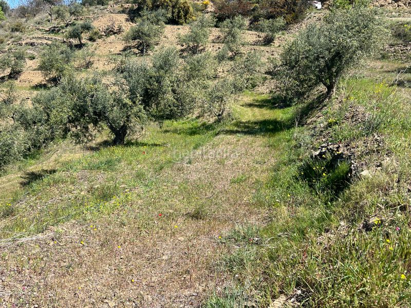 Foto 76e8d18e-0e6d-4669-b990-e05e90b74b71. Finca rústica a Gratallops