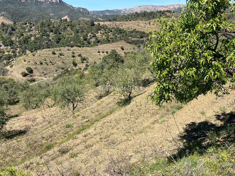 Foto 7e5492aa-48c4-41ab-b946-38855655688c. Finca rústica a Gratallops