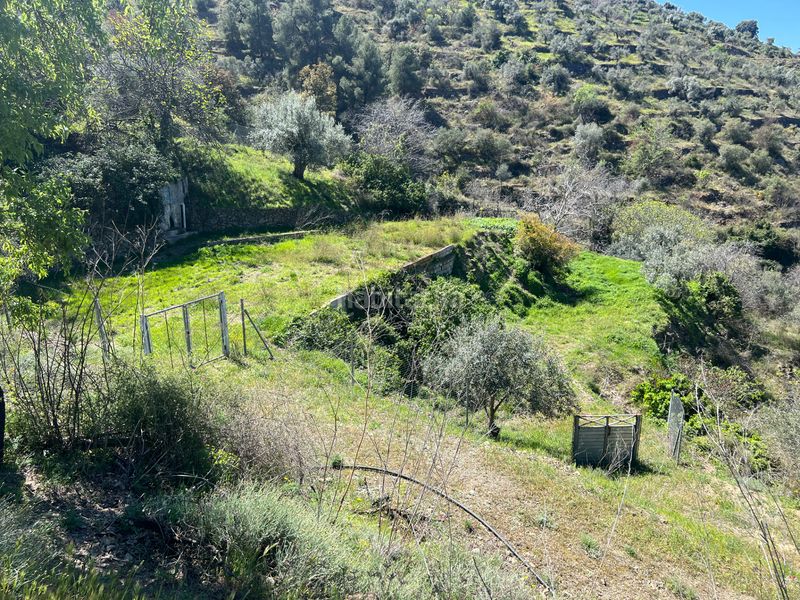 Foto 8f02454a-a065-4e64-bdcb-5a5868c70e87. Finca rústica a Gratallops