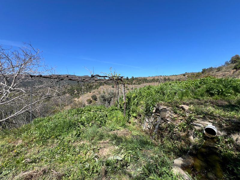 Foto e94b62c6-0b0d-4209-b544-ec39ae5f0209. Finca rústica a Gratallops