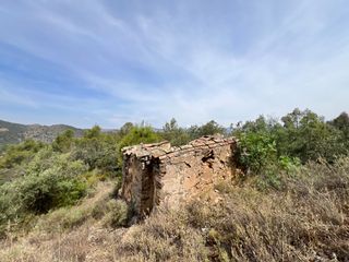 Finca rústica en N/a. Finca de 5,7 hectàries amb caseta i mina a torroja del priorat