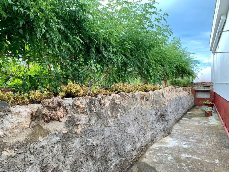 Foto 43d31451-e371-4a15-8819-c56d9354e01c. Finca rústica a Alcover
